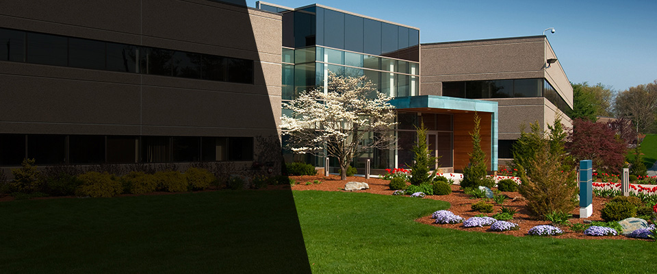 Bergenfield Landscapers