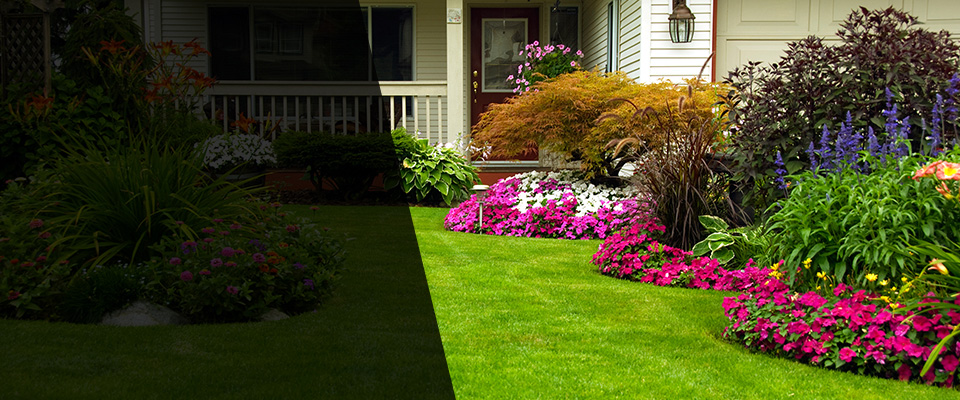 Bergenfield Landscapers