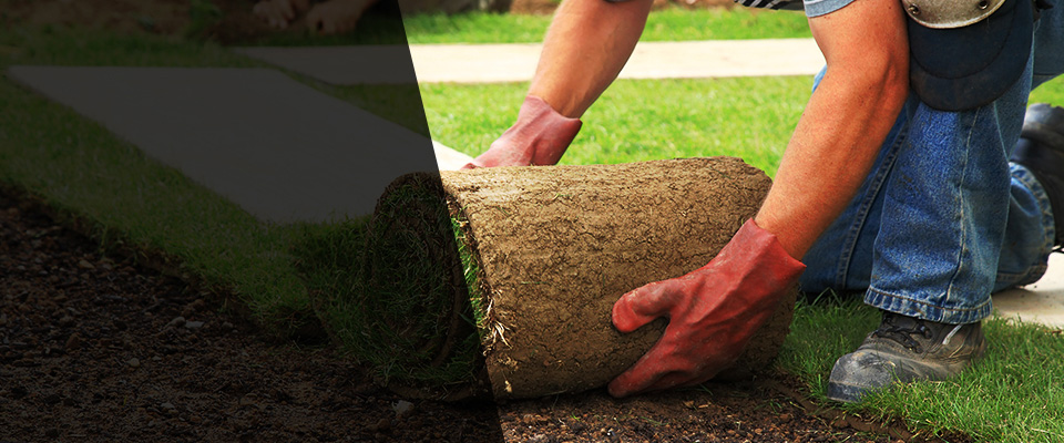 Bergenfield Landscapers